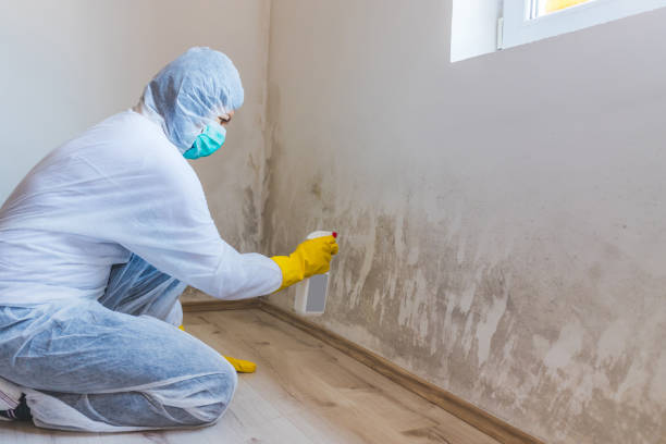 Commercial Mold Remediation assessment for commercial property in Upton